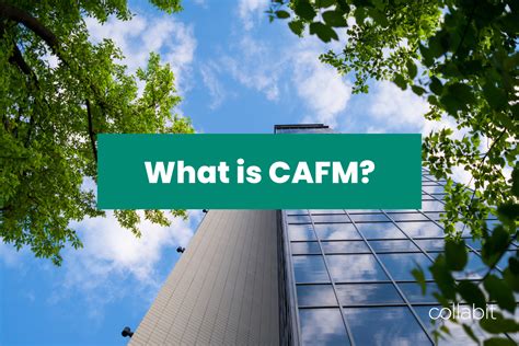 What is CAFM Software: A Symphony of Digital Chaos in Facility Management